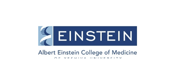Albert Einstein College of Medicine historical logo reference.